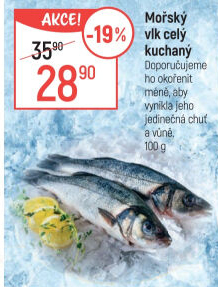 Vlk mořský kuchaný