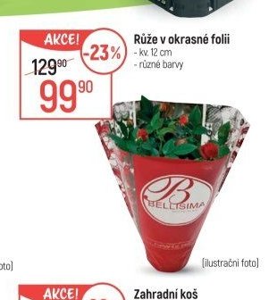 Růže v okrasné folii