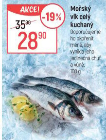 Vlk mořský kuchaný