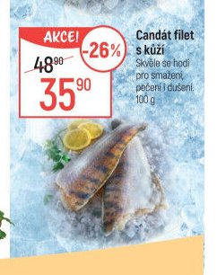 Candát filet s kůží