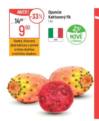 Opuncie Kaktusový fík