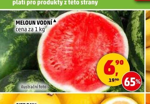 MELOUN VODNÍ
