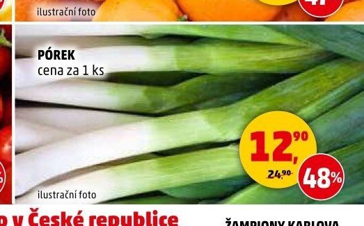 PÓREK