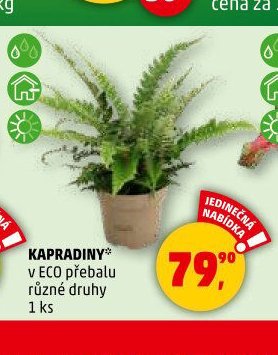 KAPRADINY