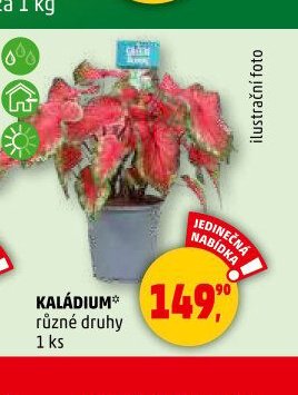 KALÁDIUM
