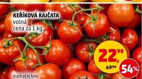 Rajčata keříková