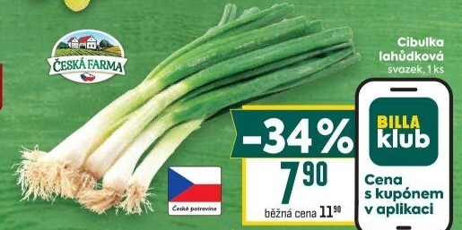 Jarní cibule svazek Česká farma