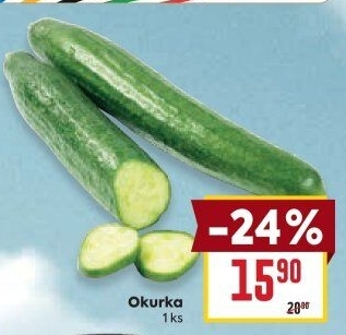 Okurka salátová - hadovka