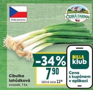 Jarní cibule svazek Česká farma