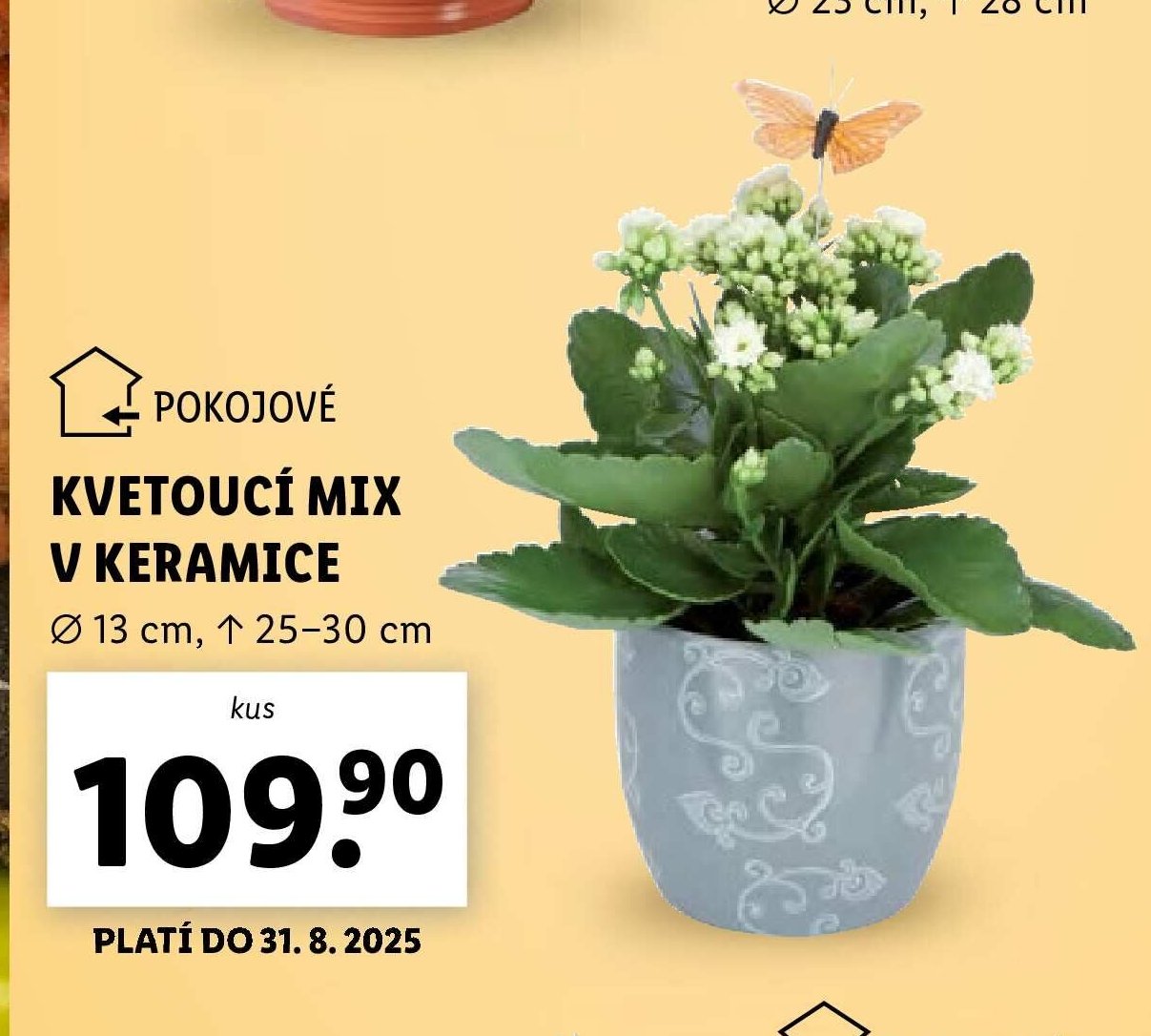 Kvetoucí mix v keramice