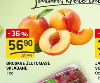 BROSKVE ŽLUTOMASÉ SKLÁDANÉ
