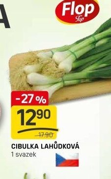 CIBULKA LAHŮDKOVÁ