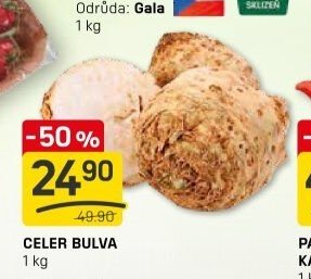 CELER BULVA