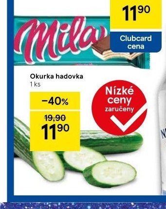 Okurka hadovka