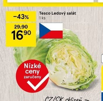 Tesco Ledový salát