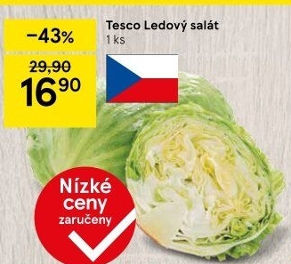 Salát ledový Tesco