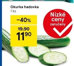 Okurka salátová - hadovka