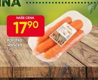 Karotka vanička