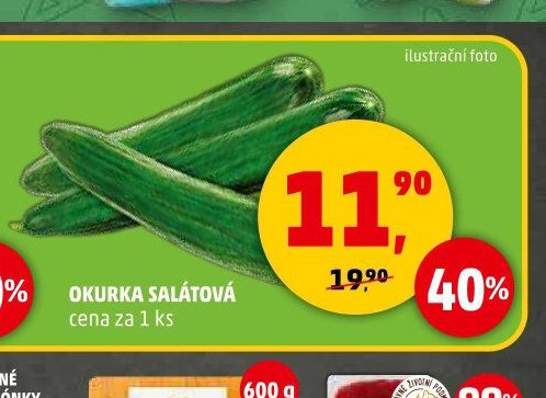 Okurka salátová
