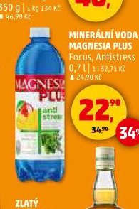 Magnesia Plus 0,7 l