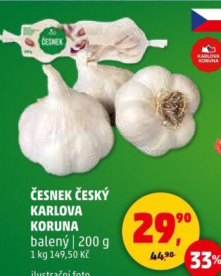 Česnek český Karlova Koruna