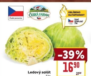 Salát ledový Česká farma