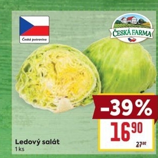 Salát ledový Česká farma