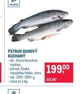 PSTRUH DUHOVÝ KUCHANÝ