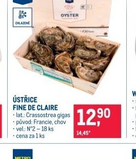 ÚSTŘICE FINE DE CLAIRE