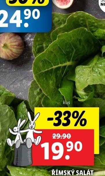 ŘÍMSKÝ SALÁT
