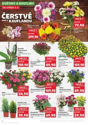akční leták Kaufland 3.9.2025-9.9.2025