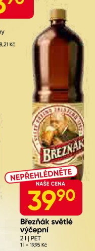 Pivo světlé výčepní 10° Březňák