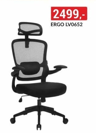 Kancelářská židle Ergo Basic