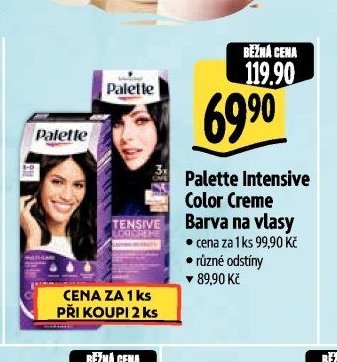 Palette Intensive Color Creme Barva na vlasy