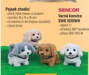Pejsek chodící
