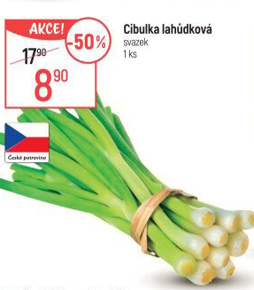 Jarní cibule svazek