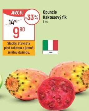 Opuncie - Kaktusový fík