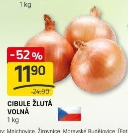 Cibule kuchyňská žlutá