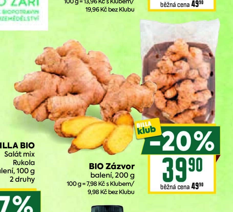 Zázvor Bio