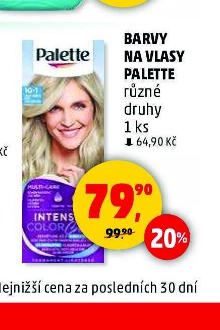 Barvy na vlasy Palette