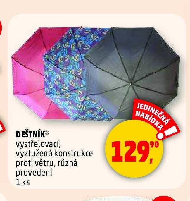 DEŠTNÍK*