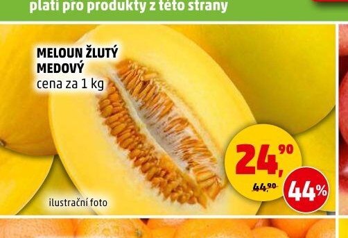 MELOUN ŽLUTÝ MEDOVÝ