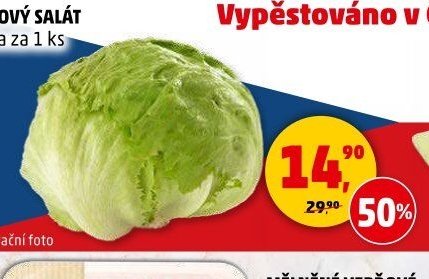 LEDOVÝ SALÁT