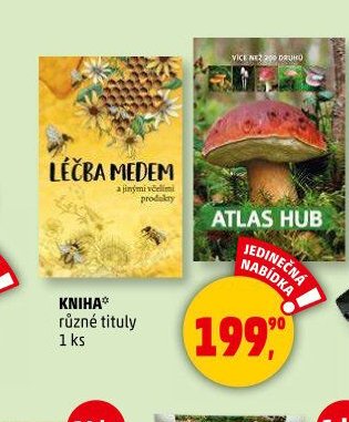 KNIHA