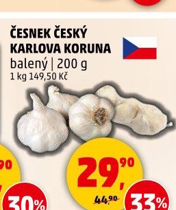 Česnek český Karlova Koruna