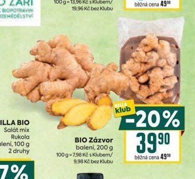 BIO Zázvor