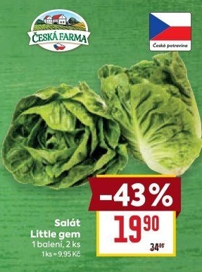 Salát little gem Česká farma