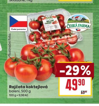 Rajčata koktejlová