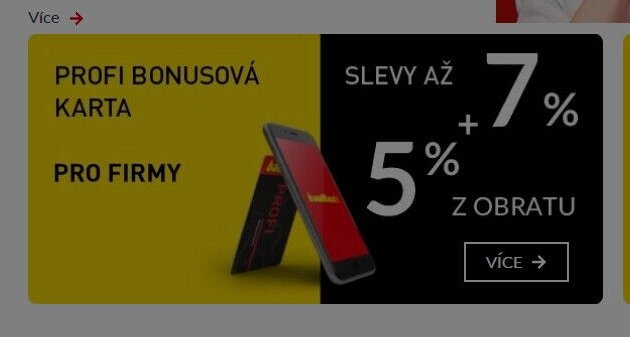 PROFI BONUSOVÁ KARTA PRO FIRMY - bauMax akcniletaky.com