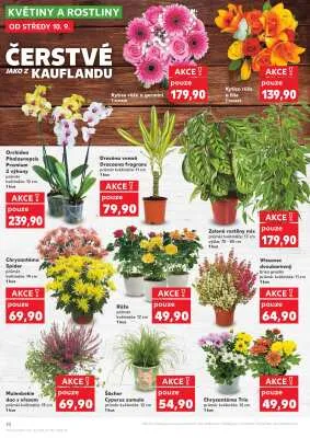 akční leták Kaufland 10.9.2025-16.9.2025